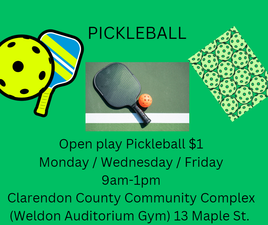 Pickle Ball Open Play